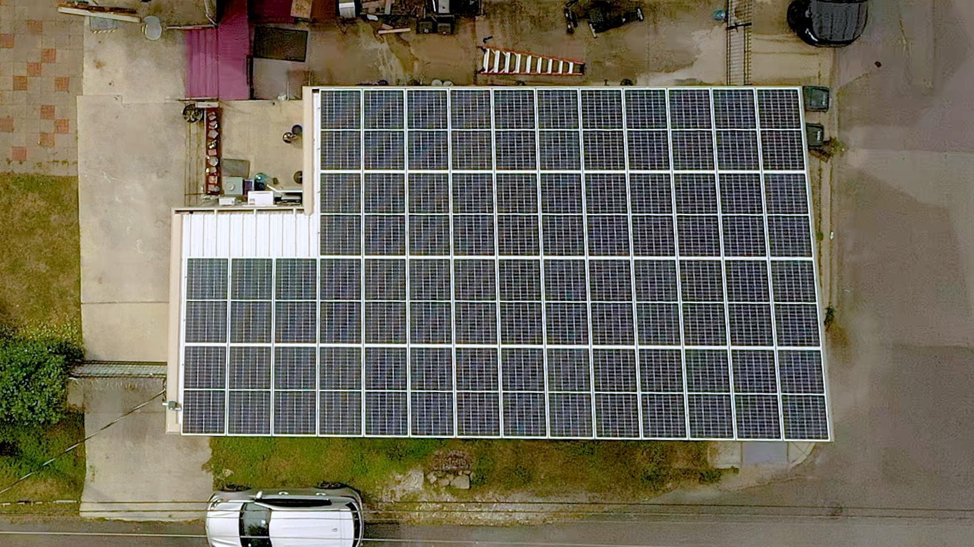 Standing Strong Through Hurricanes